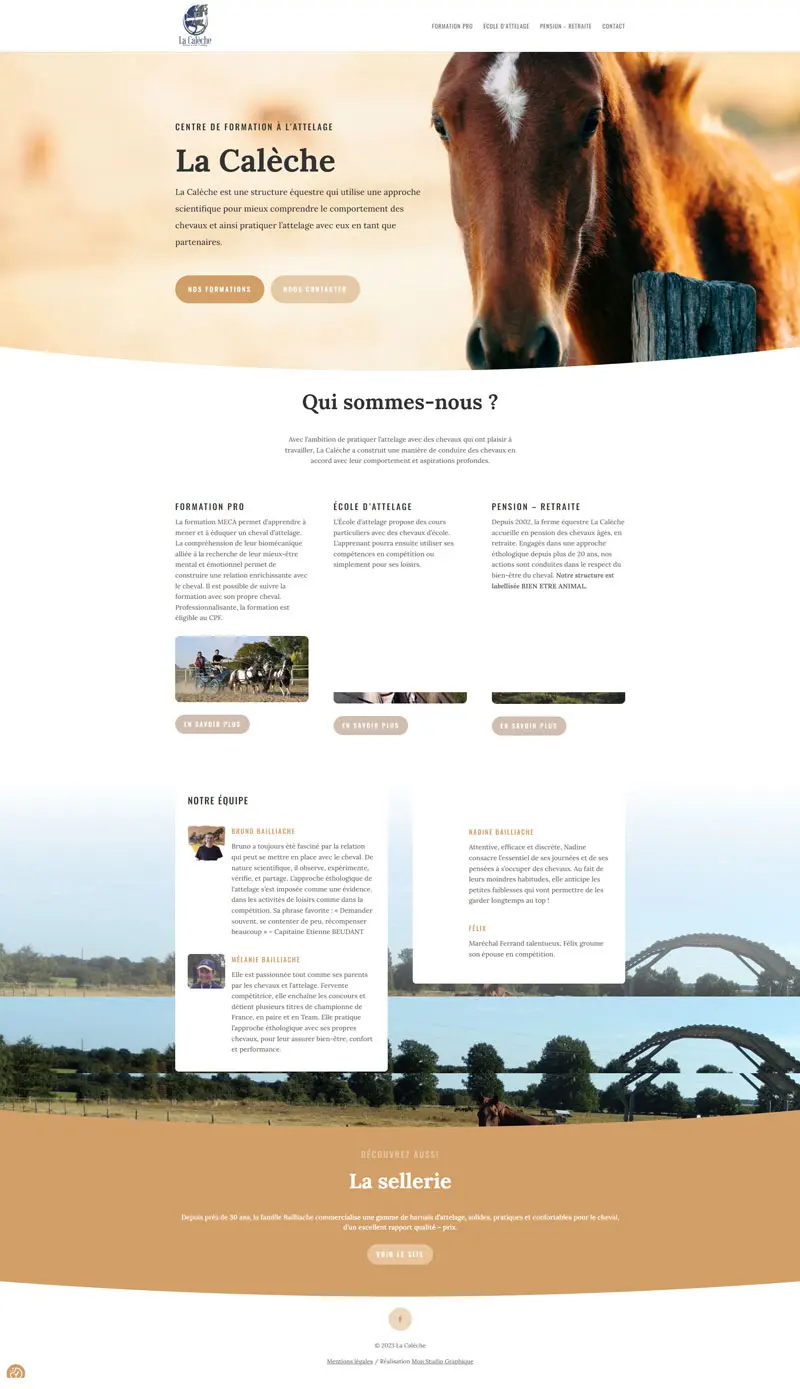 forgelec-site-web Site complet Forgelec