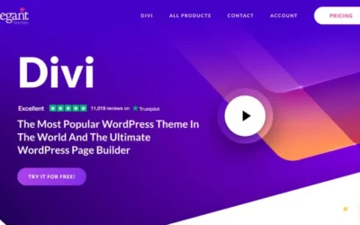 🌐 Pourquoi choisir WordPress avec Divi pour son site web ?