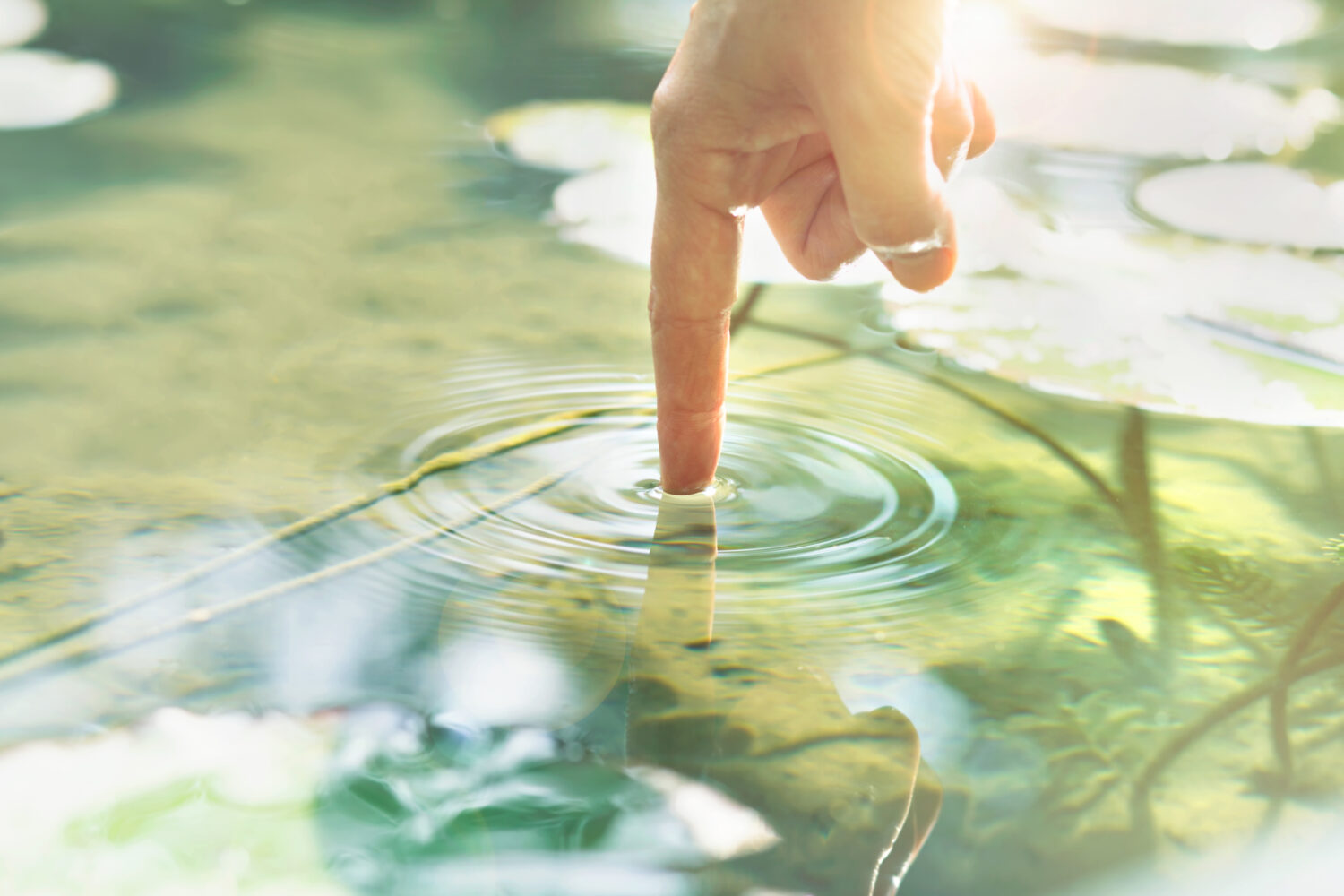 Capteur au contact de l’eau et mesure intelligente Doigt touchant une eau claire et créant des ondulations.