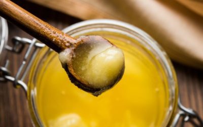 Découvrez les bienfaits de Azor Ghee